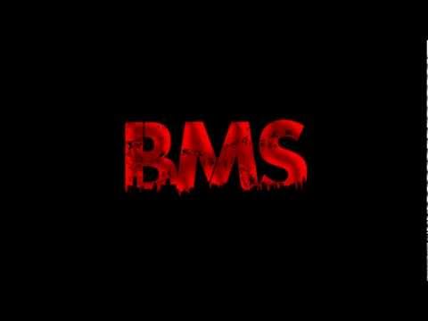 Potera, Sitek TWL   Moja okolica 2005 rok BMS