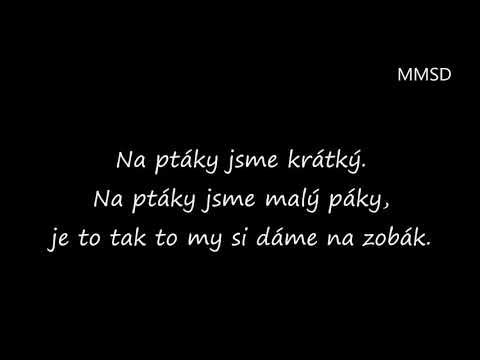 Janek Ledecký - Na ptáky jsme krátký + text