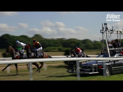 Kölner Europa-Preis: Spannendes Wochenende auf der Galopprennbahn