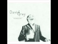 David Gray - Forgetting