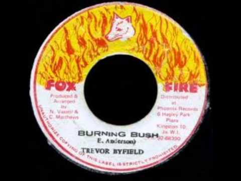 Trevor Byfield - Burning Bush