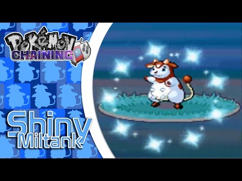 [LIVE CHAIN] Shiny Miltank (1 of 1) at a Chain of 40!!!