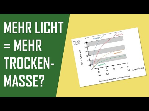 Was ist die Lichtnutzungseffizienz? | Pflanzenbau, Ertragsphysiologie