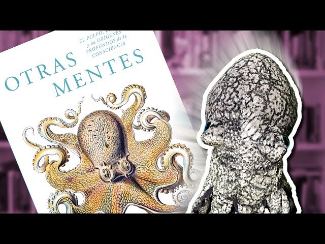 Vídeo relacionado con Otras mentes. El pulpo, el mar y los orígenes profundos de la consciencia (Pensamiento)