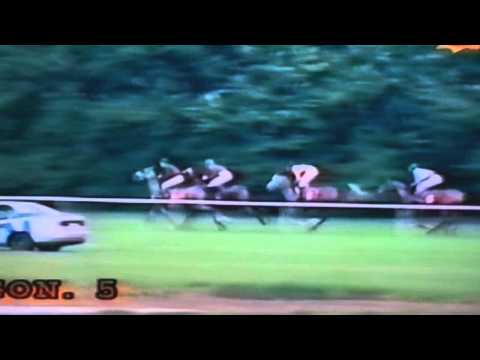 Nagroda Amuratha - 30.08.1998 - Mistral (Santhos - Mashuga)