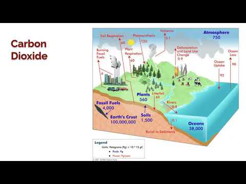 7.4 CO2 and Particulate Matter