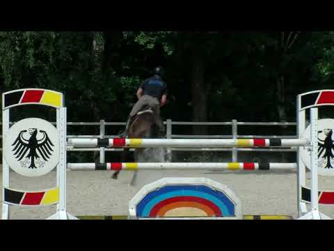 Grafino (Graf Top x Condendro)