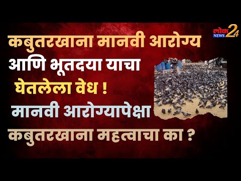 कबुतरखाना मानवी आरोग्य आणि भूतदया ; मानवी आरोग्यापेक्षा कबुतरखाना महत्वाचा का?