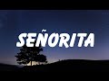 Señorita Shawn Mendes Lyrics