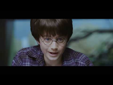 Harry Potter E La Pietra Filosofale (2001) - Harry Parla Con Il Serpente Allo Zoo [UHD]