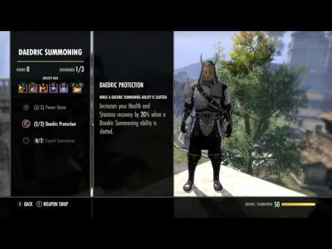 ESO Xbox/PS4: KING'S GUARD Stamina Sorcerer Build (Solo/Small Group PvP)