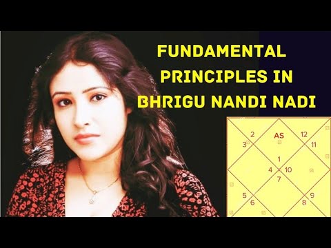 FUNDAMENTAL PRINCIPLES IN BHRIGU NANDI NADI 🌞 @HrishitaaReadz