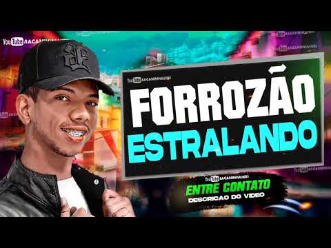 FORROZÃO ARROCHADO PRA BALANÇAR || ROBINHO ESTILIZADO CDZÃO TOP