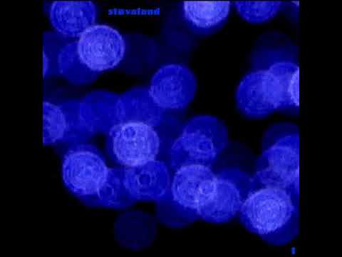 Støvaland - Because I love you (ambient mix)