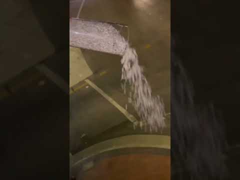 1000 poppers! #insane #insanity #fireworks #poppers #explosion