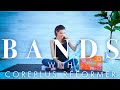 GAIAM Coreplus Reformer Resistance Bands Workout FabFitFun Box