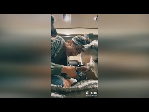 This Life Hack Will Change Dog Owners’ Lives