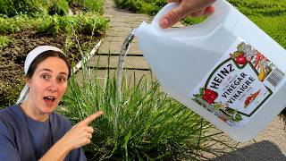 What Happens When You Use Vinegar in Your Garden?