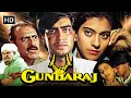 अजय देवगन का धमाकेदार एक्शन अवतार Gundaraj F