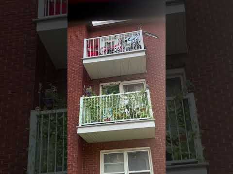 Black Dog and kids Bicycles in the Balcony Ottawa Canada 🍁 🇨🇦