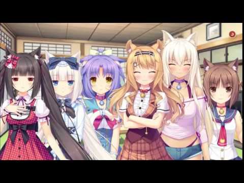 Nekopara sisters purring!~