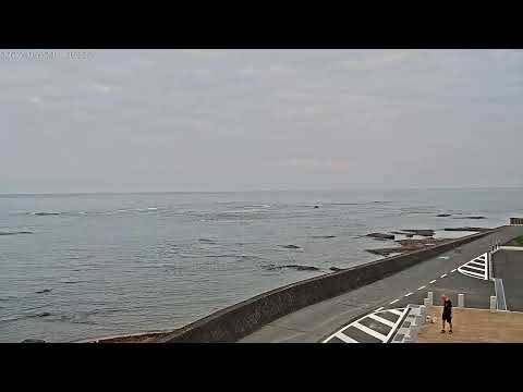Wakayama Tenjinzaki Lighthouse live cam