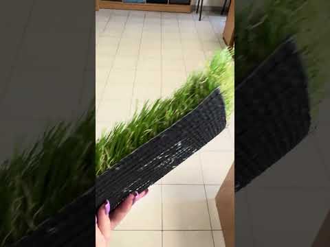 Декоративна трава PREMIUM 40