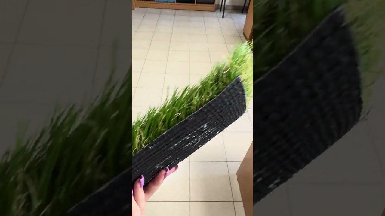 Декоративна трава PREMIUM 40