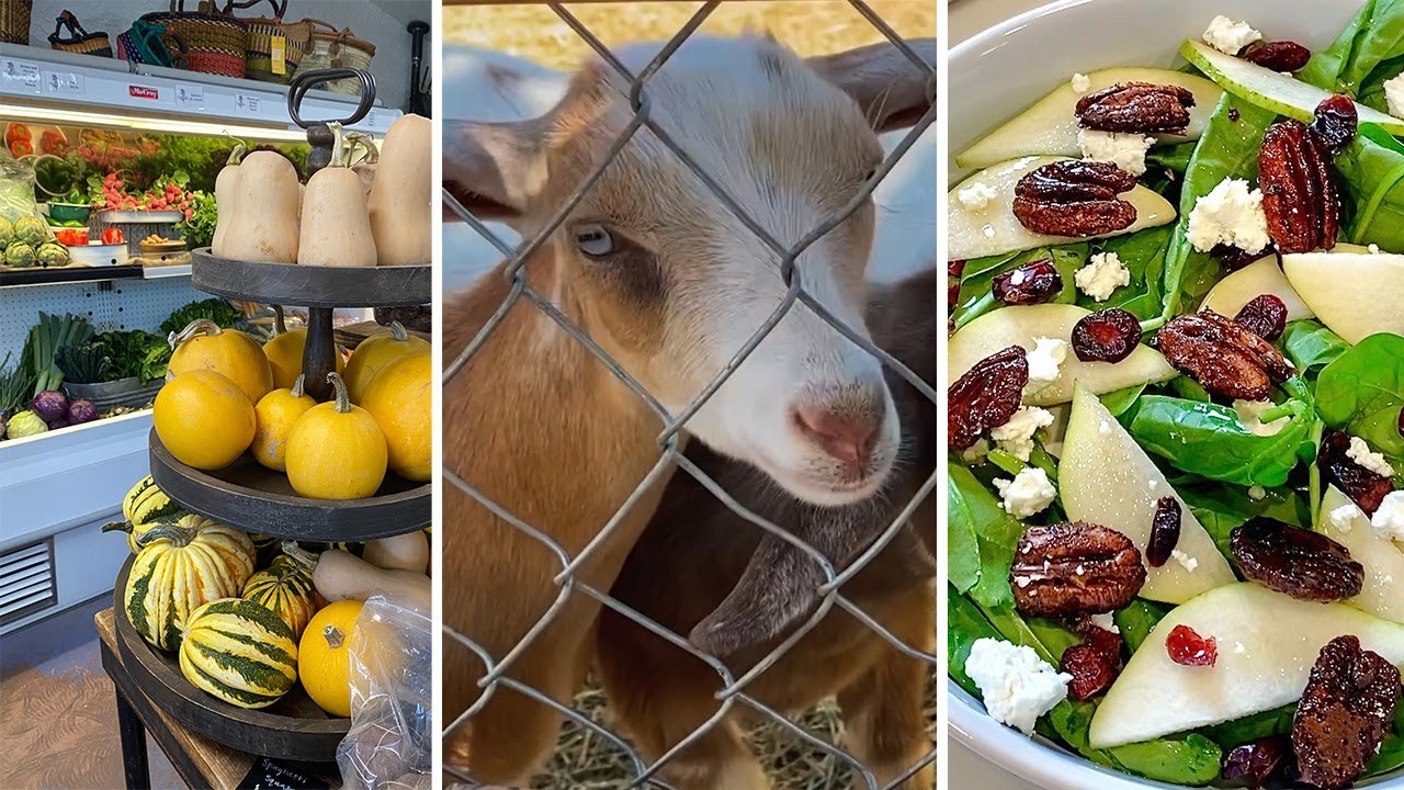 A TRIP TO AN ORGANIC FARM, SOME CUTE GOATS, & A FANTASTIC PEAR SALAD YOU'VE GOT TO TRY