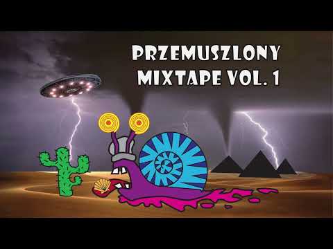 Muszla Clan - To co mamy