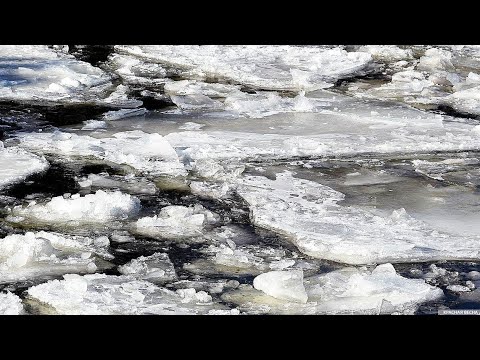 Продолжаются поиски двух мужчин, провалившихся под лёд видео