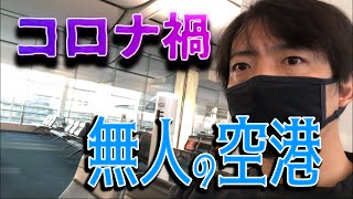 【2021年1月末】コロナ禍の中、日本へ帰国。シンガポールから羽田空港へ。PCR検査の様子は？自主隔離期間は？