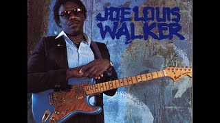 JOE LOUIS WALKER‎– Cold Is The Night