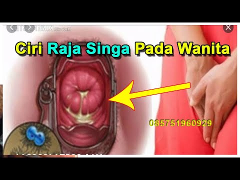 Bahwa jika dalam 16 anggota terkecil Potensi dan tingkat