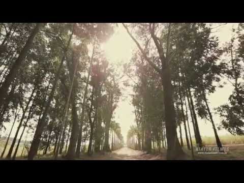 Casamento Juliana e Rodrigo