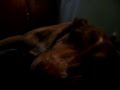 Nina Simone Isn't it a Pity (Full and Original Version - FLAC Audio) - HD