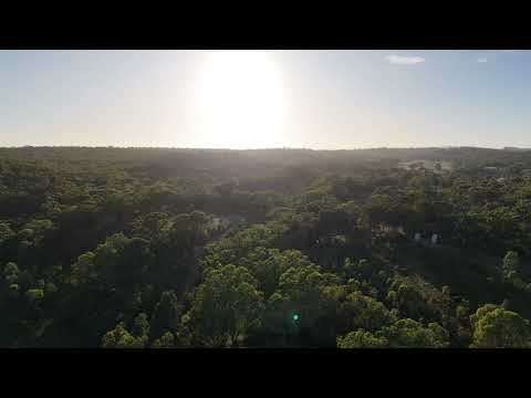 Morning flight