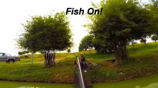 preview picture of video 'Pole Fishing In Malaysia'