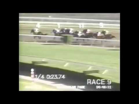 Gulfstream Park Handicap 1995 - Cigar