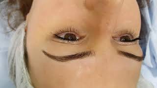 Realism 3D Eyebrows Microblading by El Truchan @ Perfect Definition