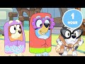 LIVE Best Of The Grannies Funny Granny Moments With Bluey Bluey