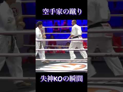 【衝撃の蹴り】日本の空手家の蹴りで外国人を1発KO