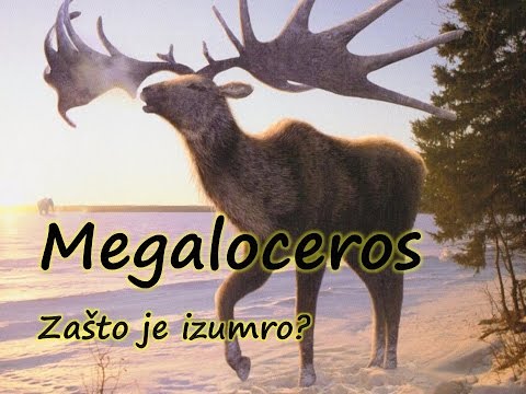 Megaloceros-zašto je izumro?