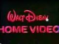 Walt Disney Buena Vista Logos W Extra DiC Logos
