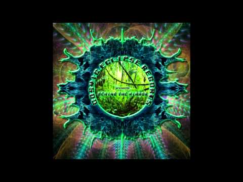 Nilakshy Parina- Dancing Fairys