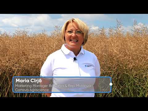 Testimonial rapiță PT303 și PT298 - SC PICMAR PROD.COM SRL, Grădiștea - Ilfov