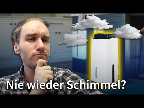 Optimale Luftfeuchtigkeit! Wie wichtig sind Luftentfeuchter?