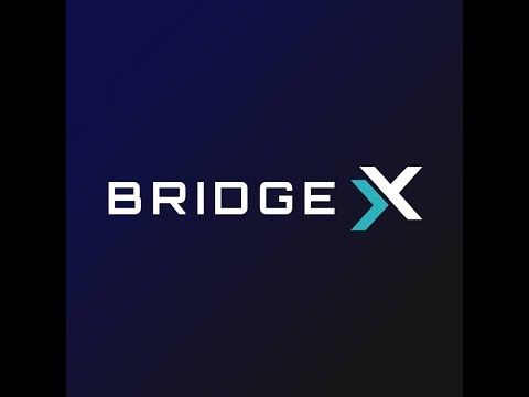 Обзор проекта BridgeX Network