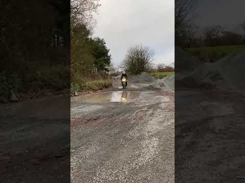 triumph tiger 955i