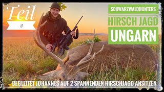 | Rothirsch | Sauen | Ungarn | Johannes auf Rothirsche in Ungarn | Schwarzwaldhunters | Teil 2 |